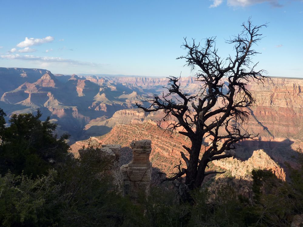 grand canyon (42).JPG